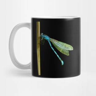 Damselfly Mug